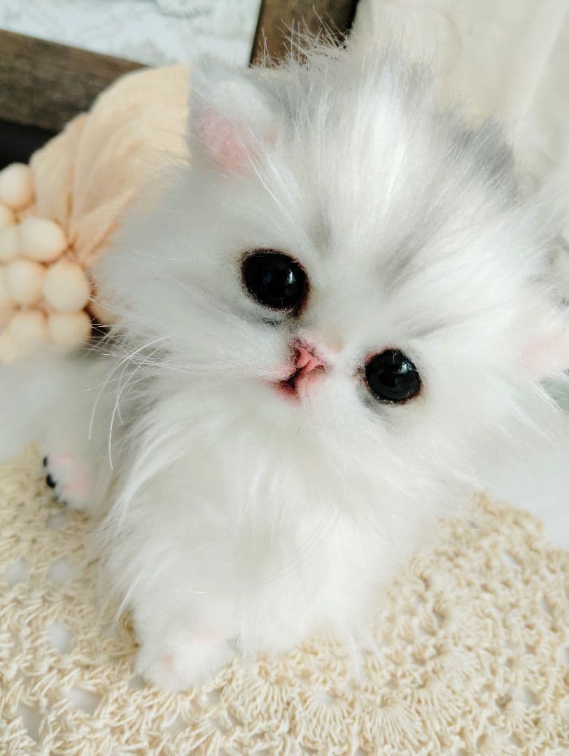 チンチラシルバー♡子猫のくるみちゃん♡アートドール♡ぬいぐるみ♡