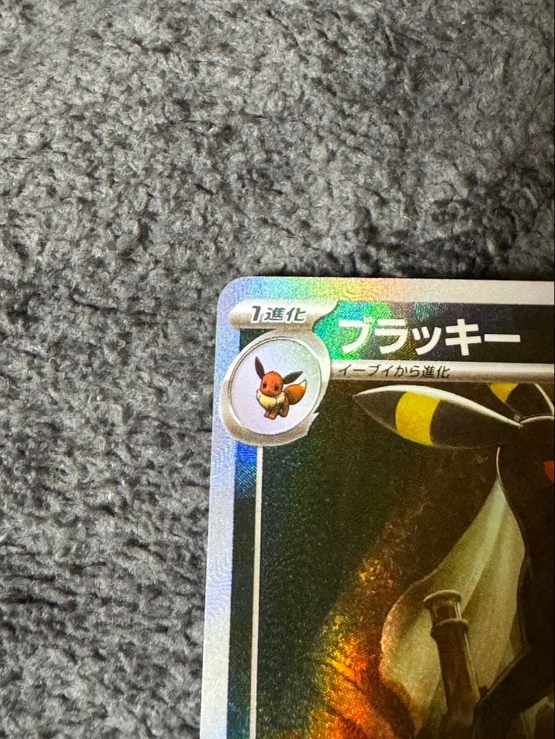 【極美品】ブラッキー マスターボールミラー　SV8a テラスタルフェスex