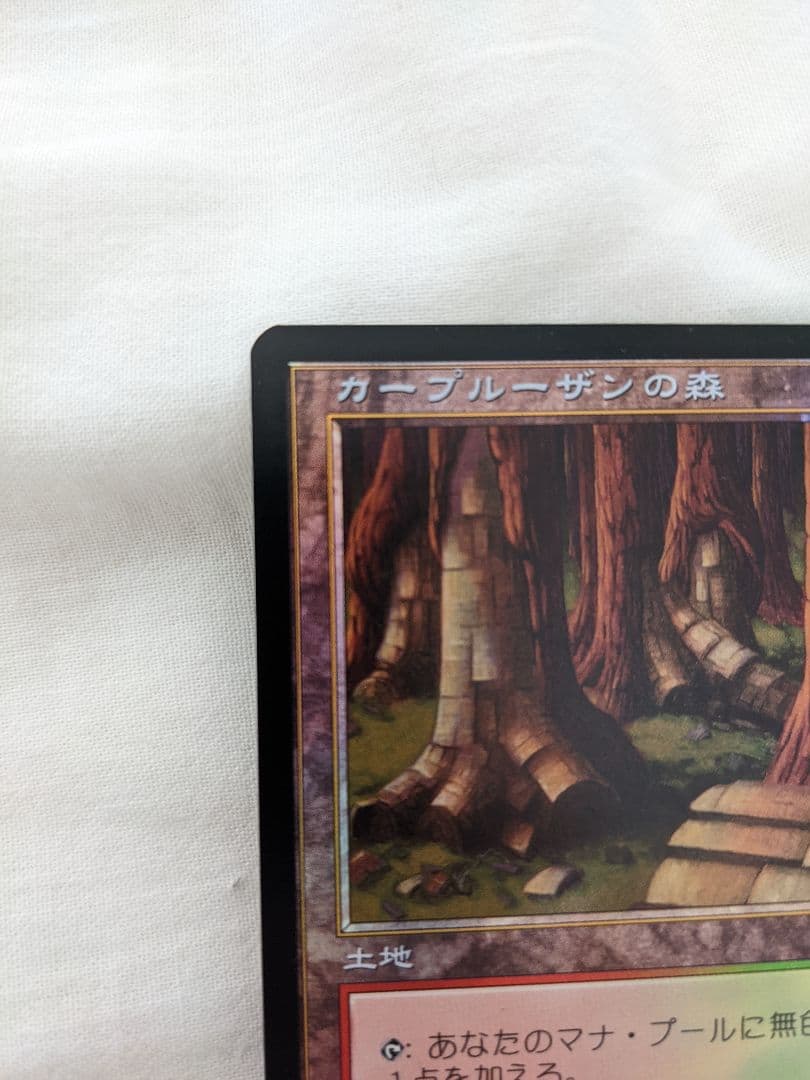 MTG カープルーザンの森　7版　Foil　日本語