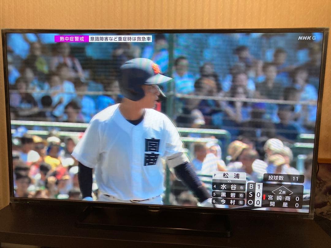 Panasonic VIERA TH-49D305 49インチ テレビ 美品