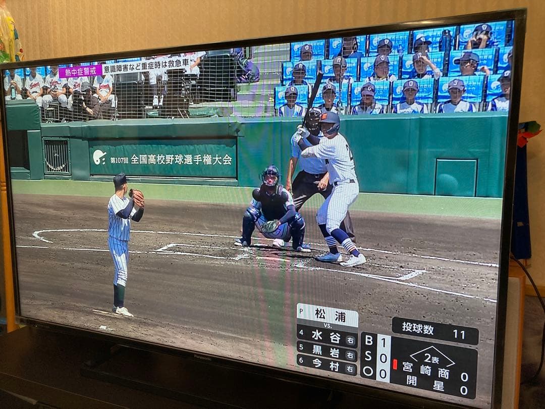 Panasonic VIERA TH-49D305 49インチ テレビ 美品