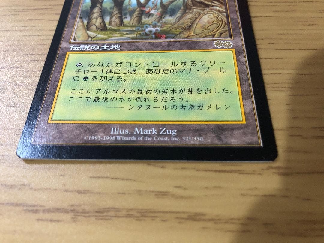 ガイアの揺籃の地/Gaea's Cradle 日本語版1枚 USG MTG