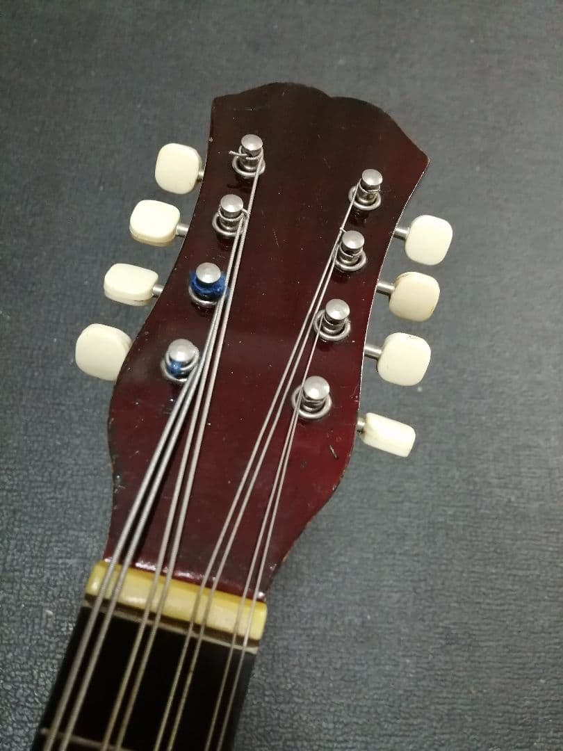 【良品】スズキ SUZUKI マンドラ ケース付き