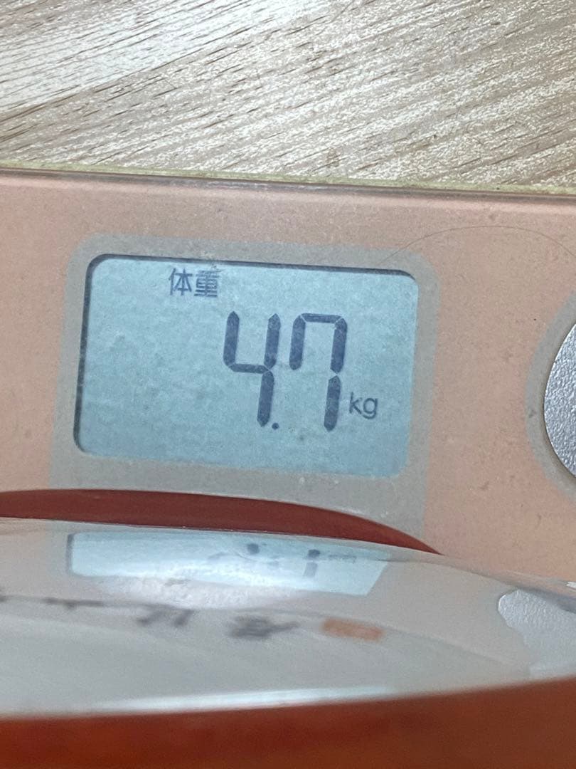 中国　景徳鎮製　鄒國鈞作？抱月瓶(一箇所彩剥がれがあり)引越しのため　売り尽くす