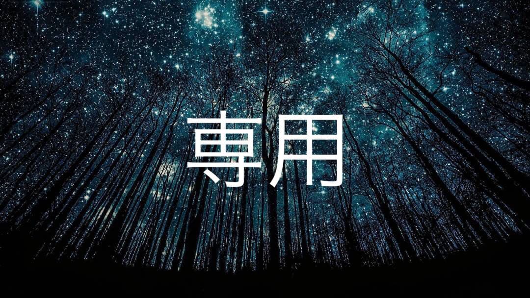 プロフ必読@ウェザー様✩.*˚専用