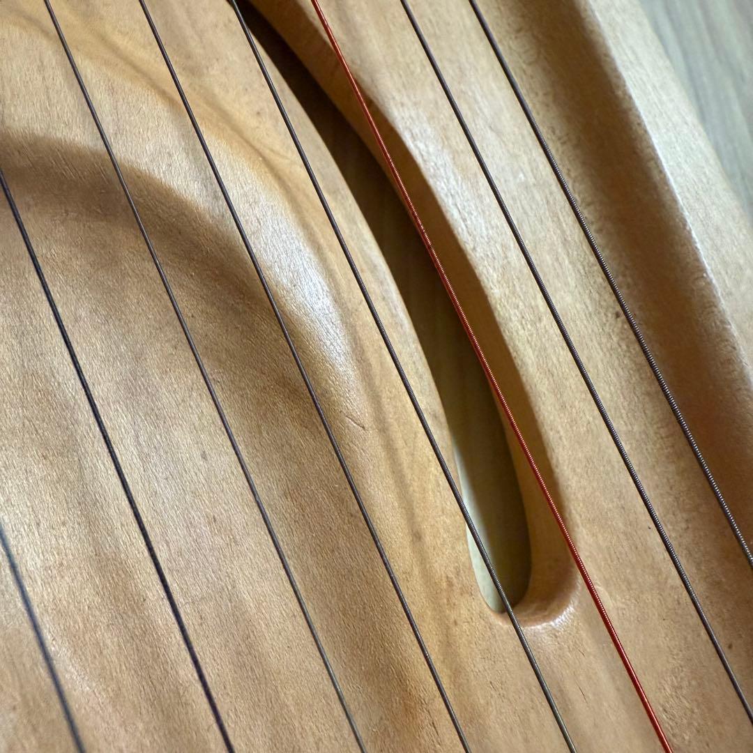 アウリス社　アウリスライアー　キンダーライアー　12弦