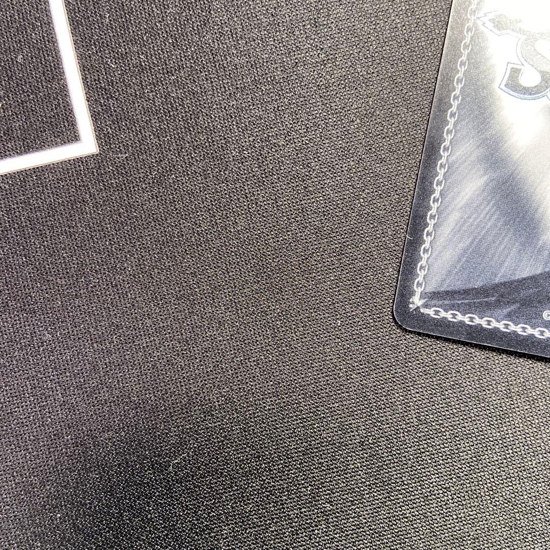 ヴァイス　ビビスト　リンネ・ベルリネッタ　SP サイン