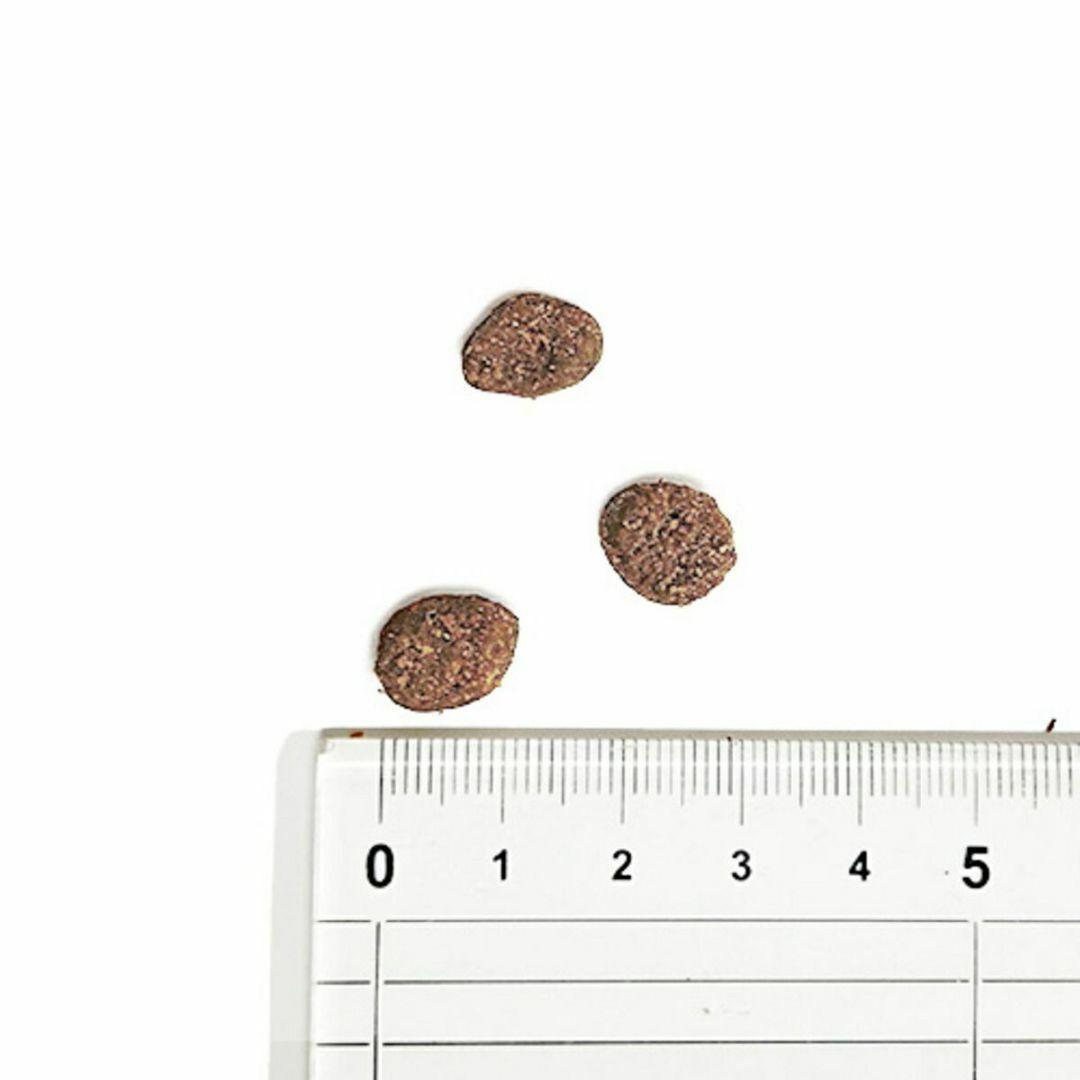 【在庫処分】 オリジン Orijen ツンドラ 全犬種全年齢用 11.4kg