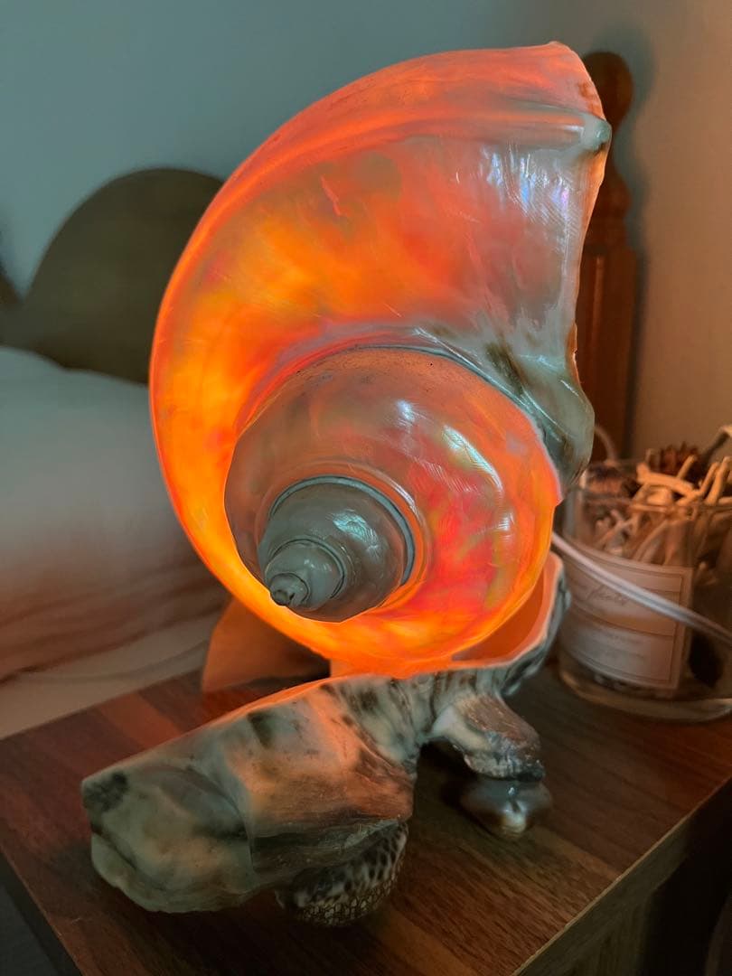 夜光貝　インテリア　ライト　小物