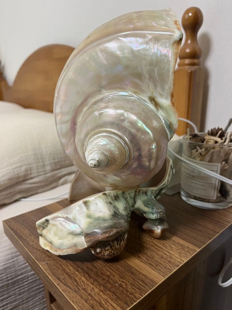 夜光貝　インテリア　ライト　小物