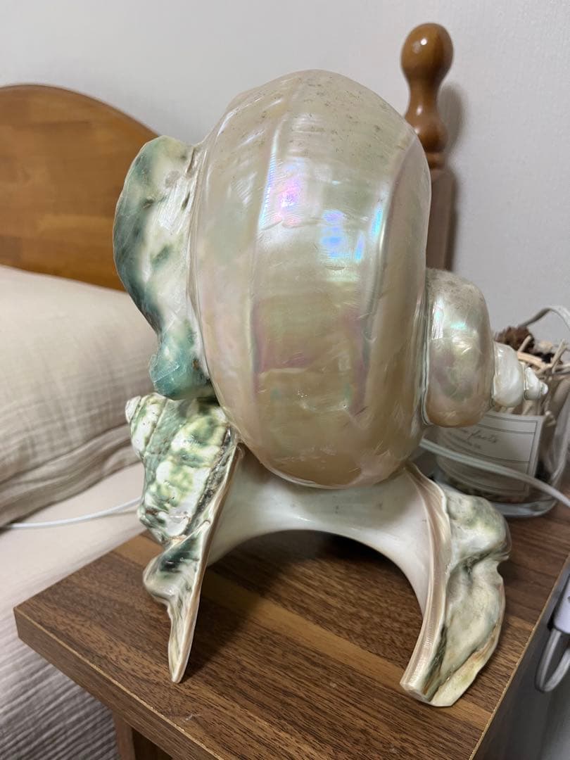 夜光貝　インテリア　ライト　小物