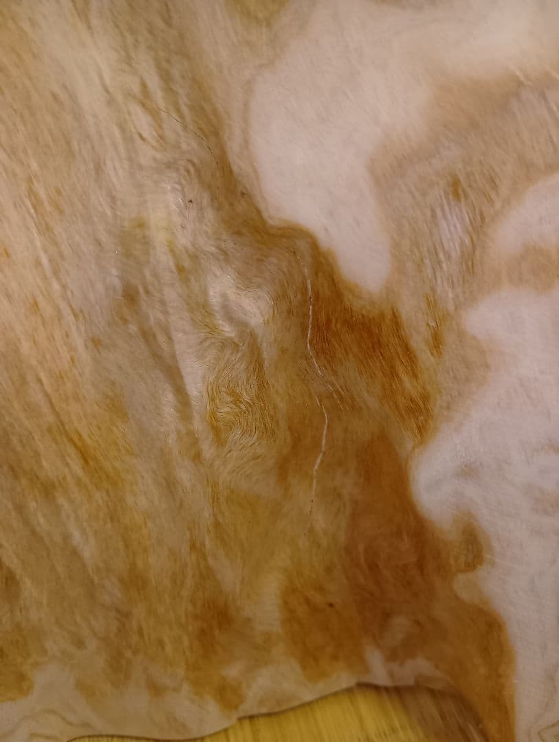 椅子　ひのき　切り株　丸太　サイドテーブル　檜