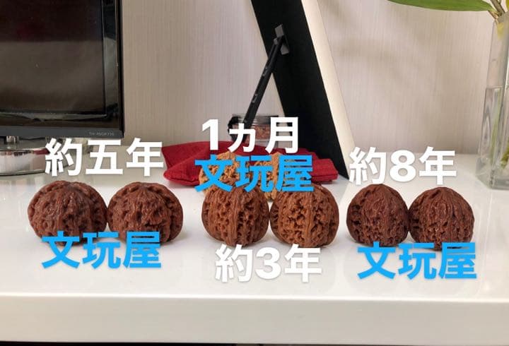 遊び胡桃 希少品種 超厳選水龍紋No.11 くるみ 趣味健康グッズ コレクション