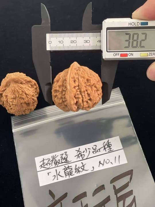 遊び胡桃 希少品種 超厳選水龍紋No.11 くるみ 趣味健康グッズ コレクション