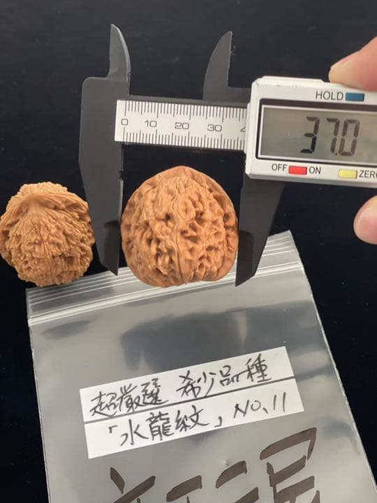 遊び胡桃 希少品種 超厳選水龍紋No.11 くるみ 趣味健康グッズ コレクション