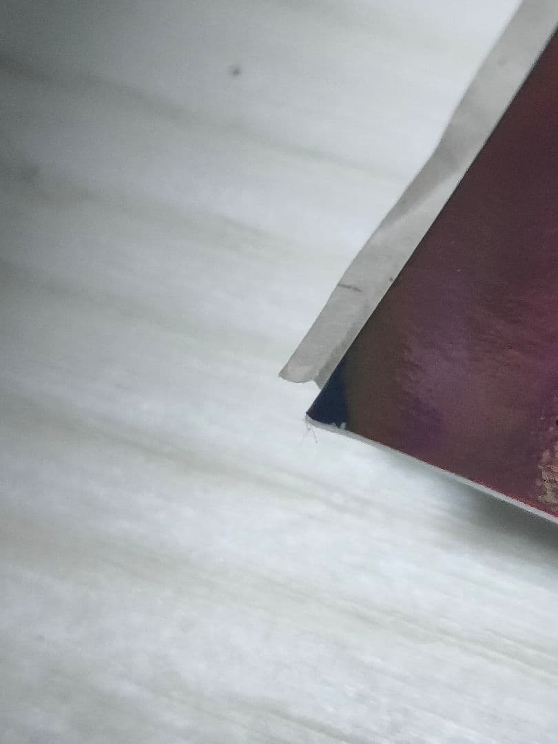 TOOL 神戸 サイン入り ポスター 完売品 Glion Arena 桃桃子