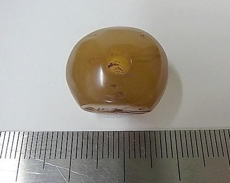 ★B1205★古代石 (260) 美品　西アジア　印章石　茶瑪瑙　羽虫　スタンプ