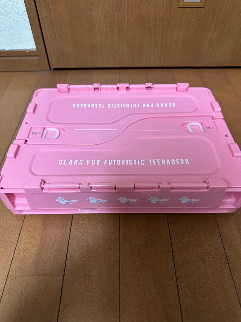 humanmade ヒューマンメイド コンテナ ピンク　20L ラストワン