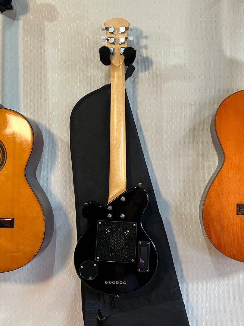 スピーカー音出し確認済み！初心者用ピグノーズ持ち運びに便利！ソフトケース付き