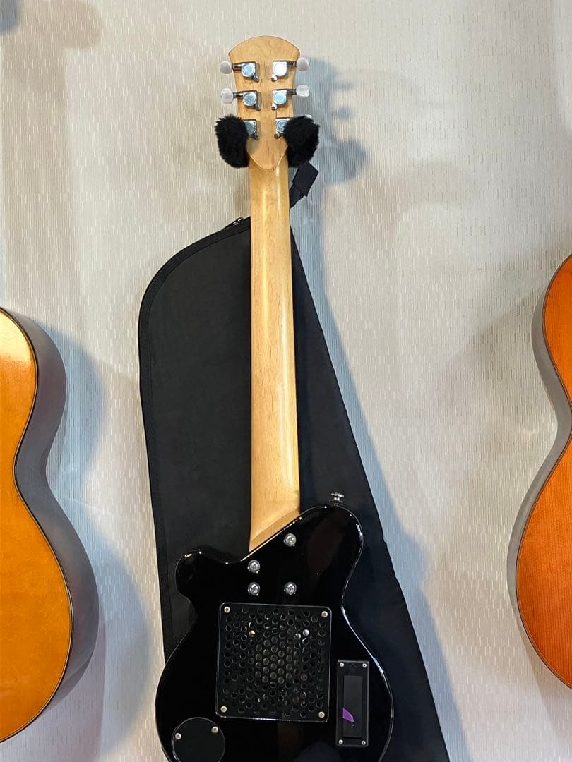 スピーカー音出し確認済み！初心者用ピグノーズ持ち運びに便利！ソフトケース付き