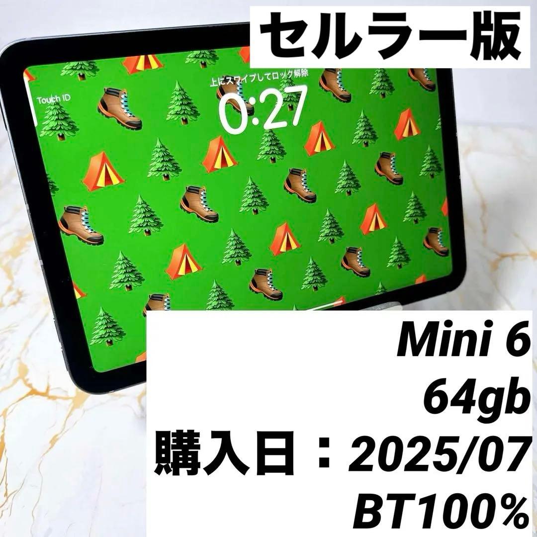 保証有りiPad mini 第6世代 セルラー BT100%