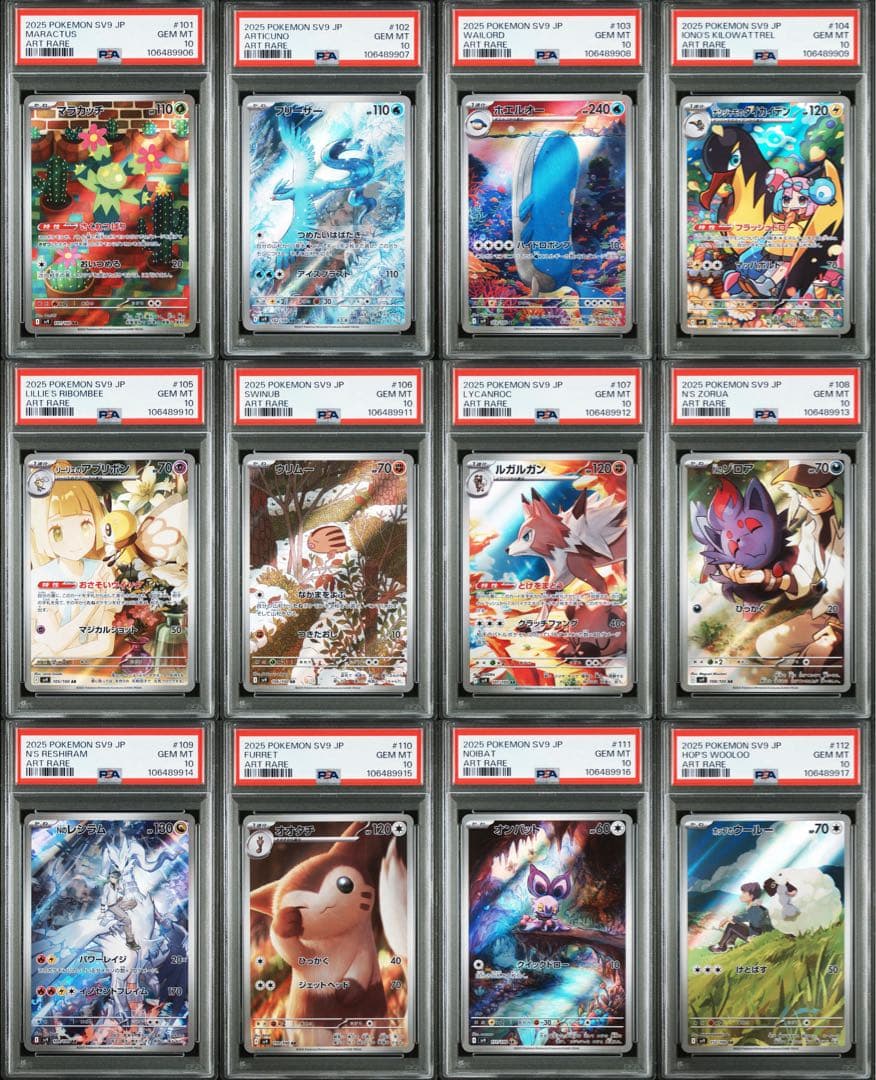 パドルパートナーズar psa10 12連番　ポケモン　リーリエ　N ナンジャモ