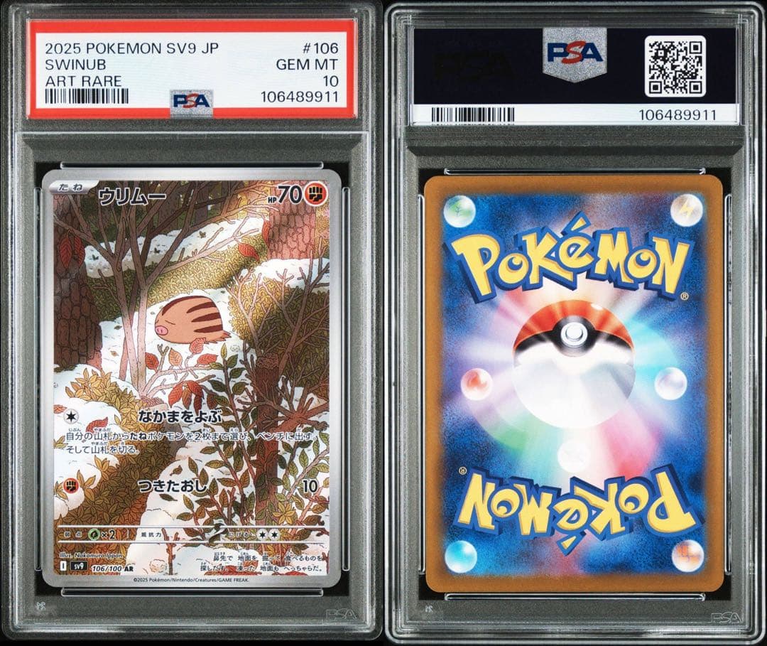 パドルパートナーズar psa10 12連番　ポケモン　リーリエ　N ナンジャモ