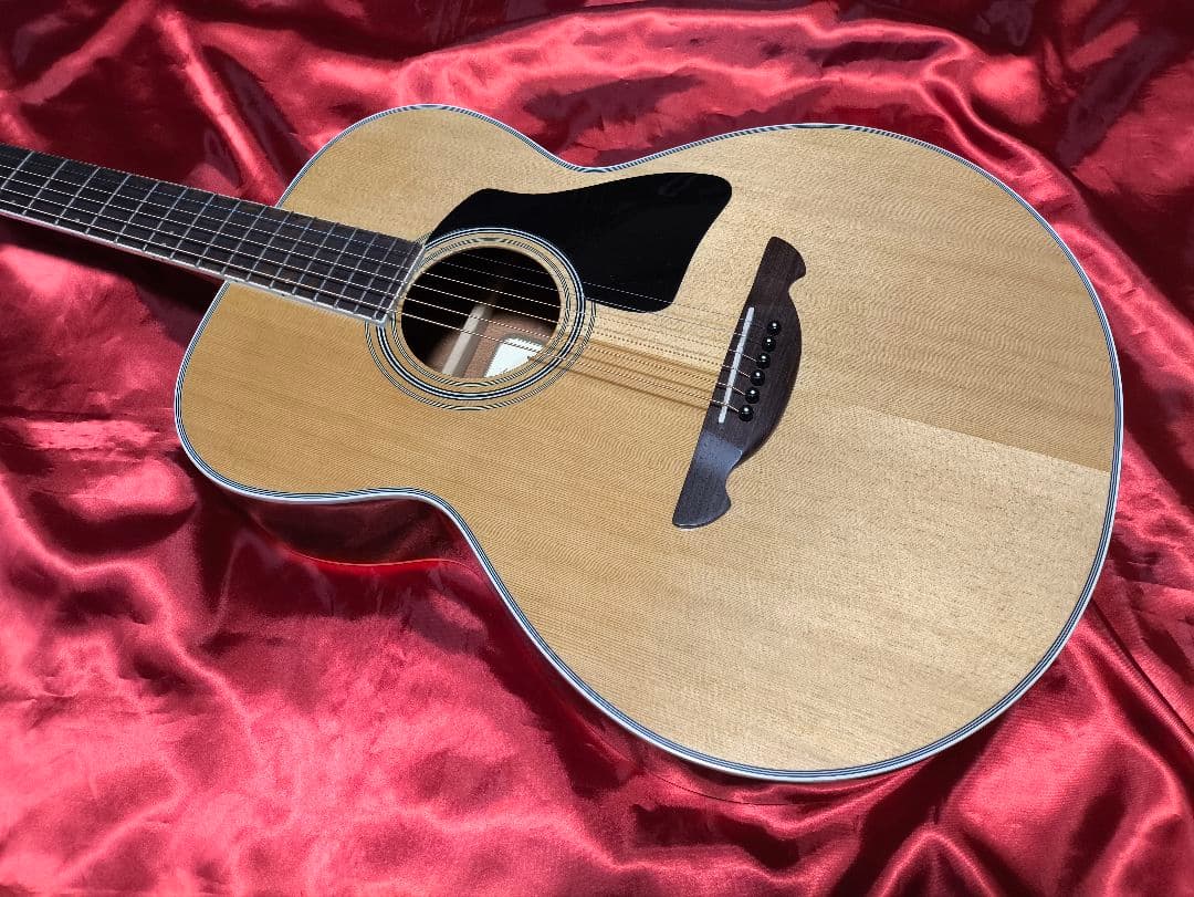 James JF400 アコースティックギター