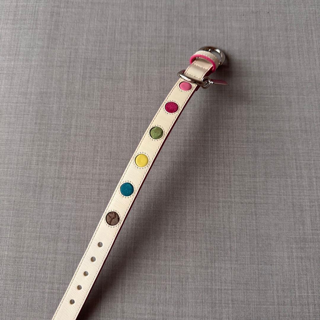 未使用 COACH コーチ ドッグカラー 小型犬様 ドット柄