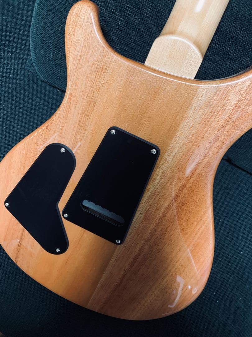 ギター PRS SE SE Custom 24