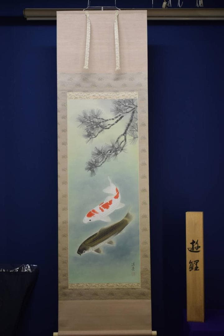 不詳/作者不詳/松鯉図/桐共太巻箱付/布袋屋掛軸HG-115