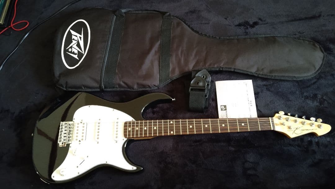 ギター PEAVEY RAPTOR PLUS EXP