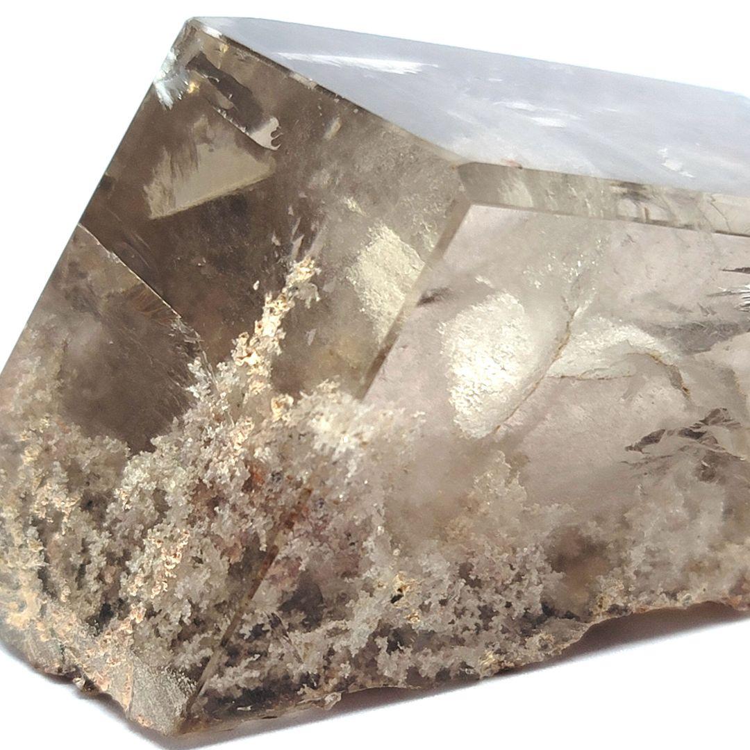 ☆恐竜キング☆カード 冬季限定ディノラマバージョン【ディノニクス(姿)】