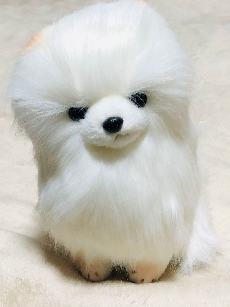 犬　三英　スピッツ　ポメラニアン　ぬいぐるみ