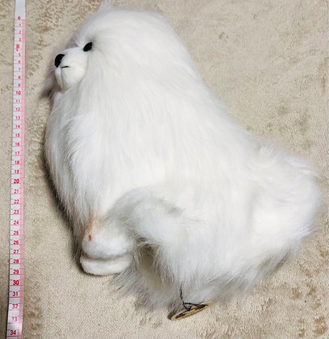 犬　三英　スピッツ　ポメラニアン　ぬいぐるみ