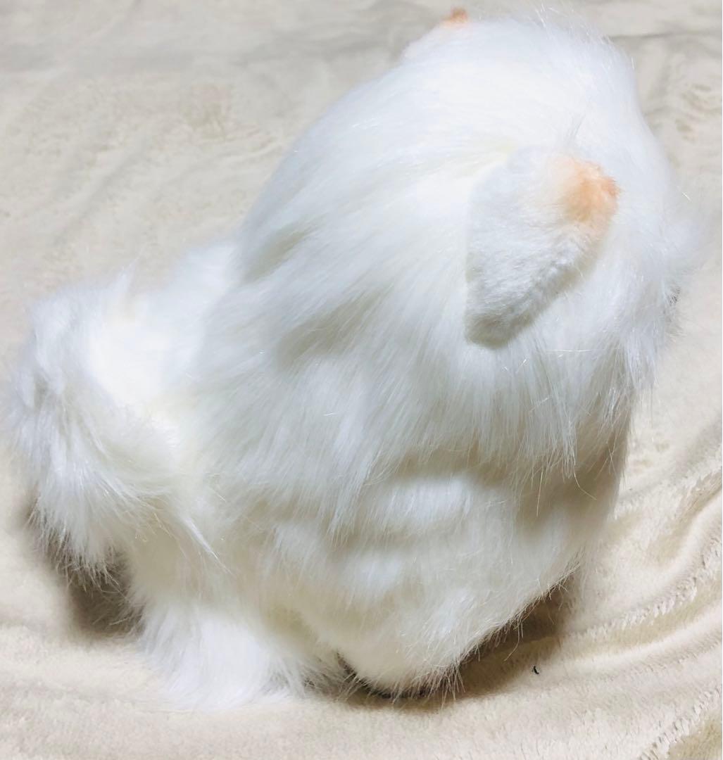 犬　三英　スピッツ　ポメラニアン　ぬいぐるみ