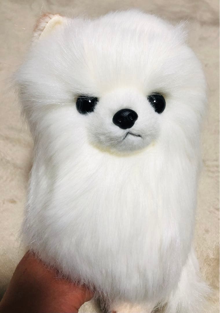 犬　三英　スピッツ　ポメラニアン　ぬいぐるみ
