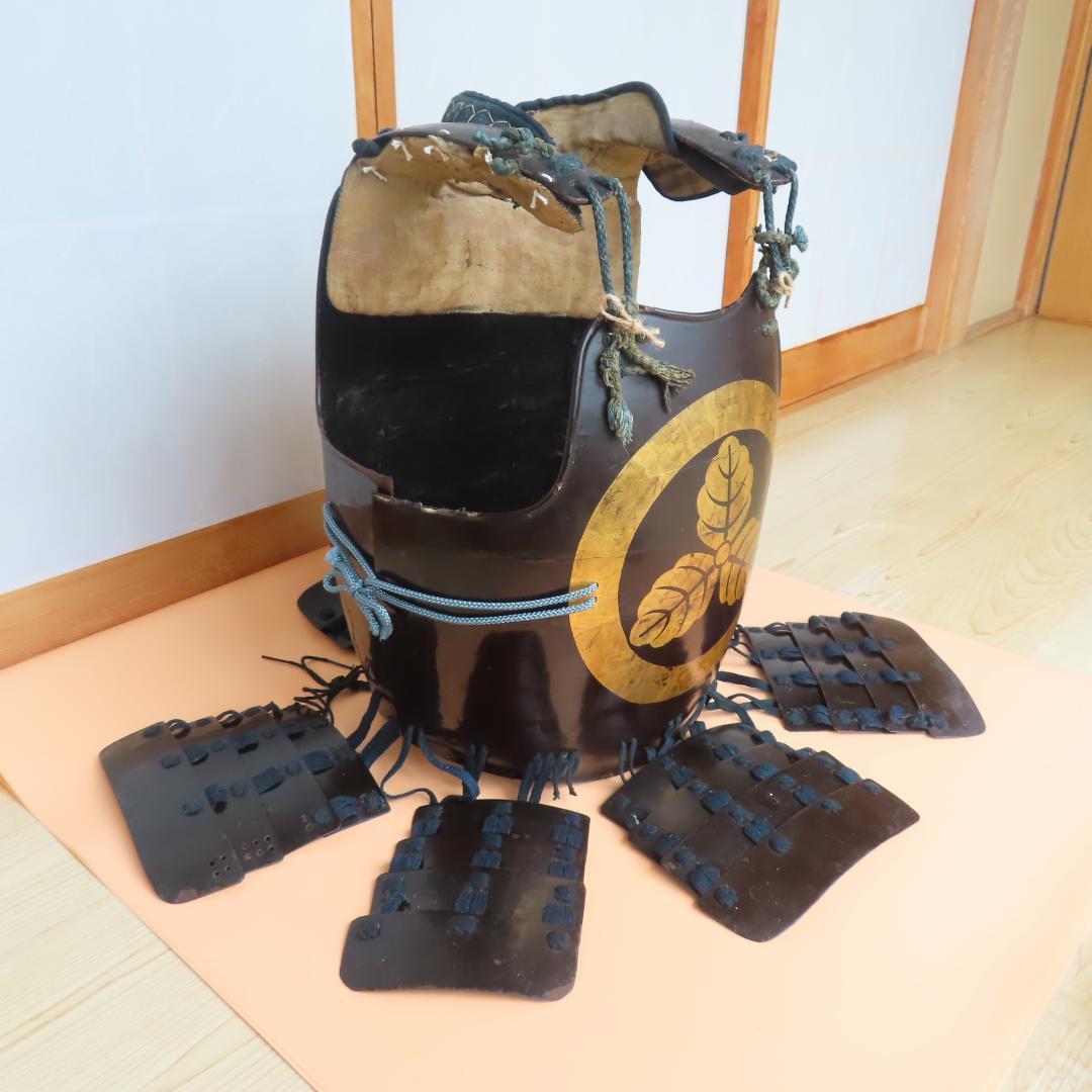 丸に三つ柏紋　貸し具足（江戸時代）/鎧・甲冑・胴