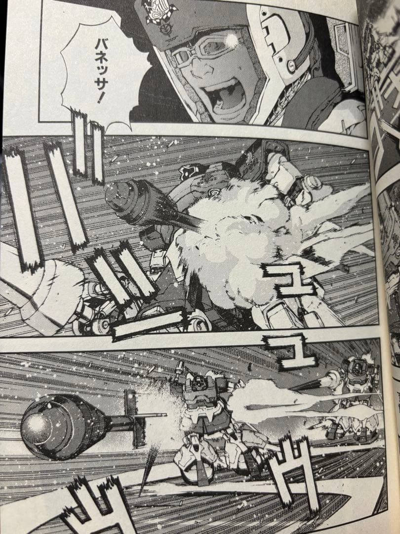 HG ドム(親衛隊仕様)塗装完成品