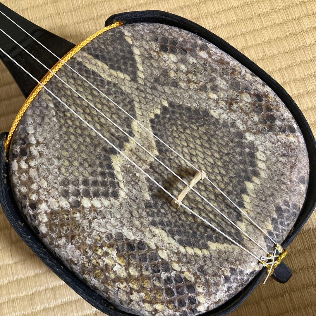 三線 本体 皮 ケース付(希望の方はスタンド