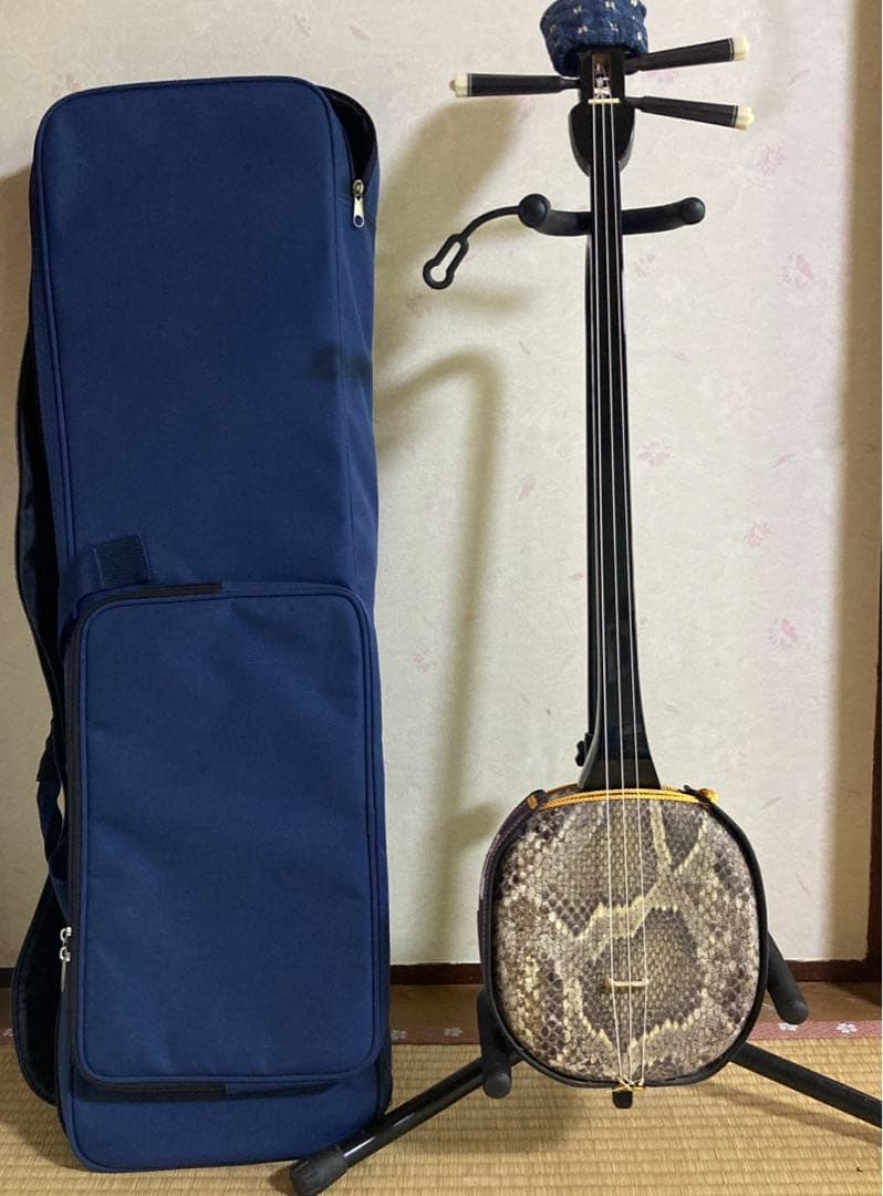 三線 本体 皮 ケース付(希望の方はスタンド