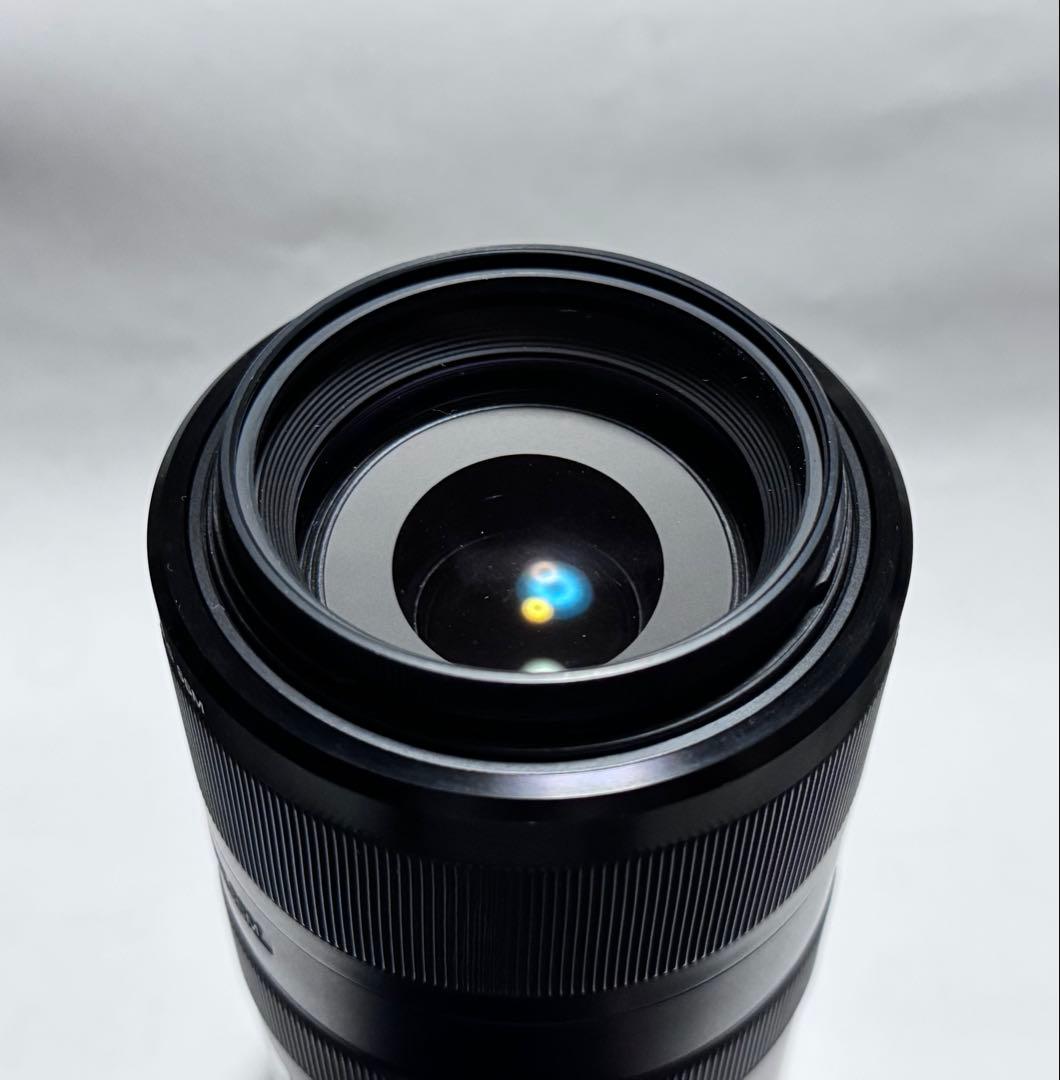 SONY \"Gレンズ\" 70-300mm f4.5-5.6 G SSM