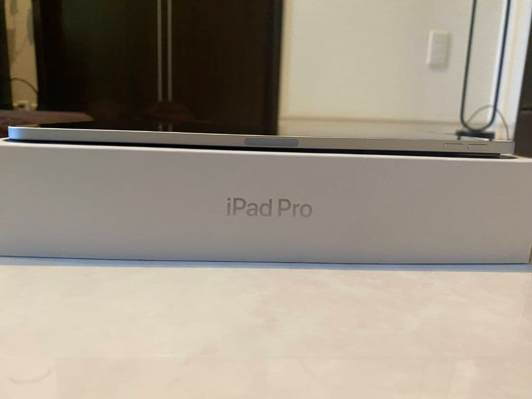 Apple iPad Pro 第二世代 11インチシルバー