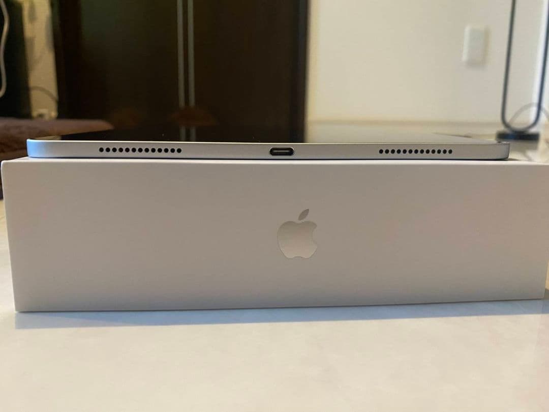 Apple iPad Pro 第二世代 11インチシルバー