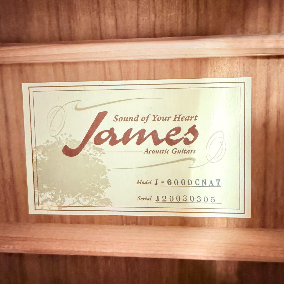 【極美品】James J-600DCNAT アコースティックギター ジェームス
