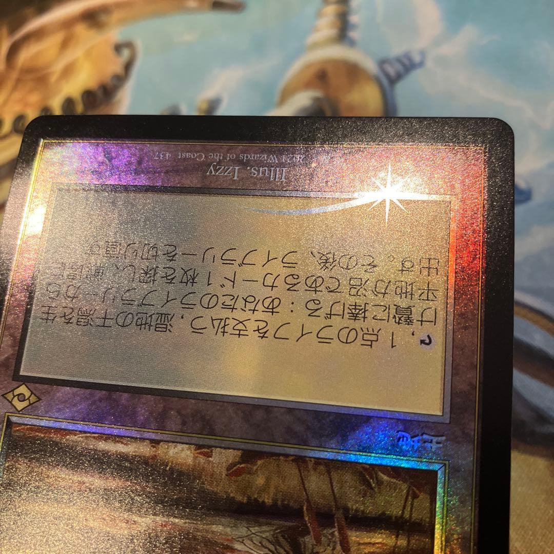 湿地の干潟　日本語FOIL 日本印刷