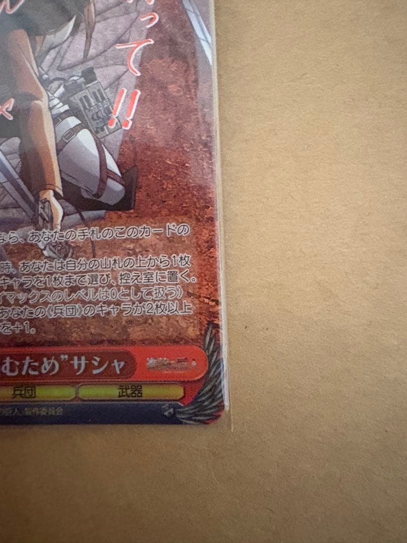 \"自由をち掴むため\"サシャ　サイン　sp