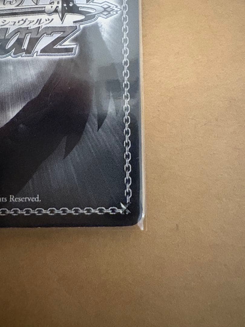 \"自由をち掴むため\"サシャ　サイン　sp