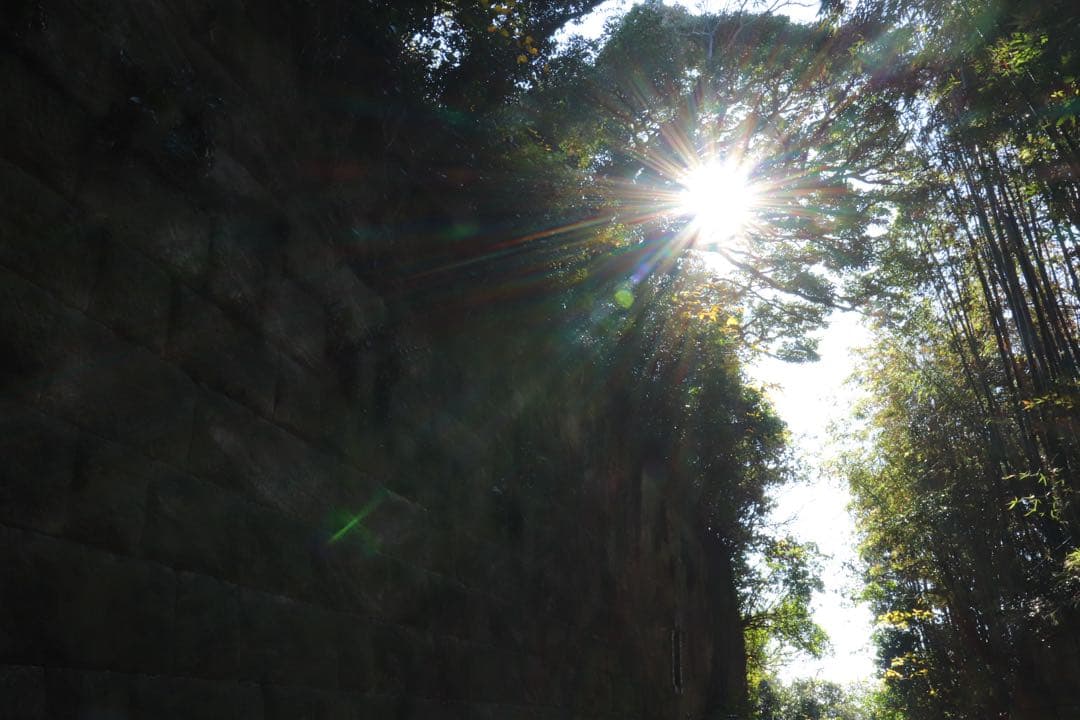 Canon EOS 9000D レンズ2本付き