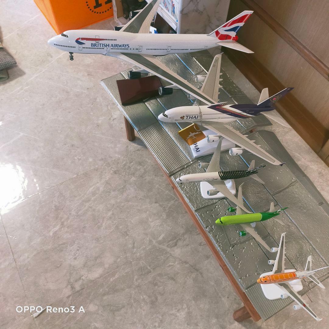 12/12 NEW!! フライングホヌ／3色…1/500 /a380